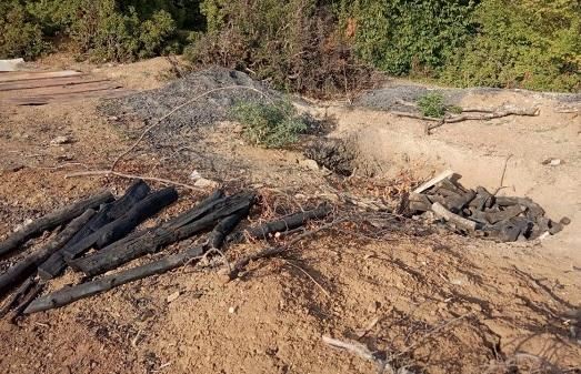 Qubada ağac kömürü istehsal edilən quyular aşkarlandı 