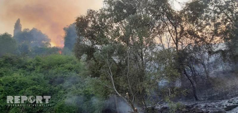 Azərbaycanın bu ərazilərində meşə yanğınları baş verdi 