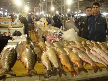 Milli Məclisdən yeni qərar: Balıq məhsulları yalnız bu şərtlərlə satılacaq