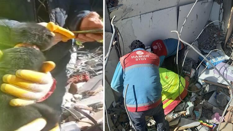 178 saat sonra dağıntılar altından pişik çıxarılıb 