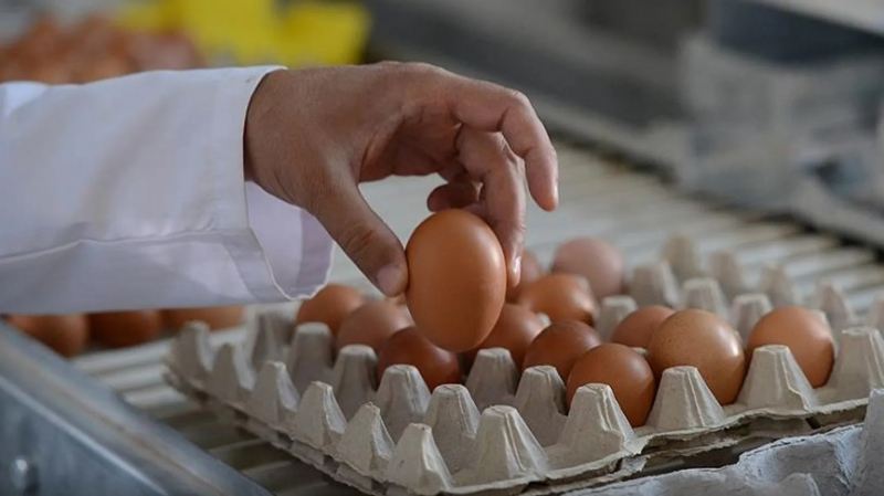 \"Quş qripi\" səbəbindən ABŞ-da yumurtanın qiyməti  rekord səviyyəyə çatdı 