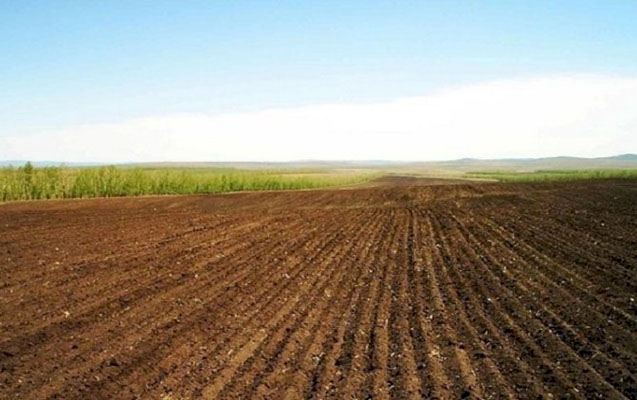Tarif Şurasına bu səlahiyyət də verildi 