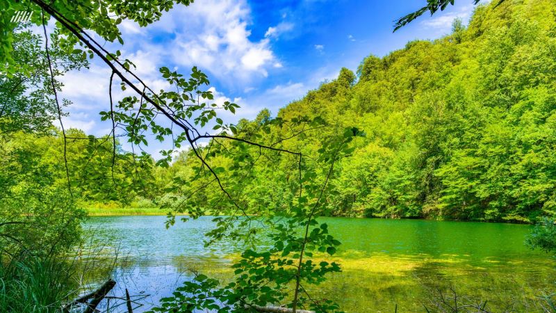 \"Eko Aləm\" ictimai Birliyi yeni layihəyə start verdi 