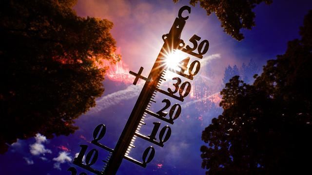 Ümumdünya Meteorologiya Təşkilatı: Daha güclü isti hava dalğalarına hazır olmalıyıq 