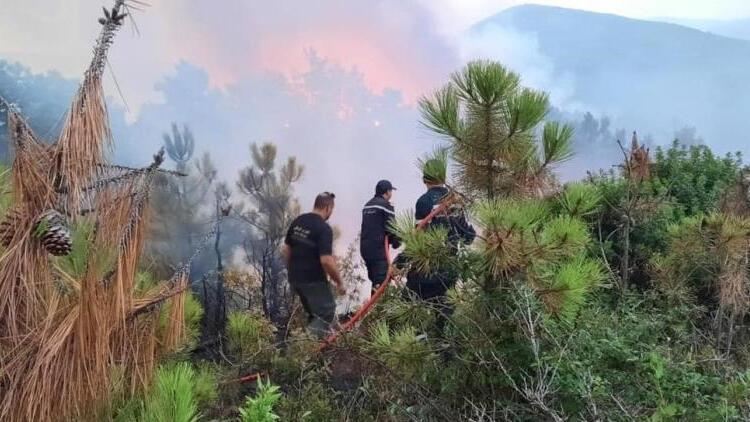 Tunisdə meşə yanğınları 3 gündür davam edir - Havanın temperaturu...