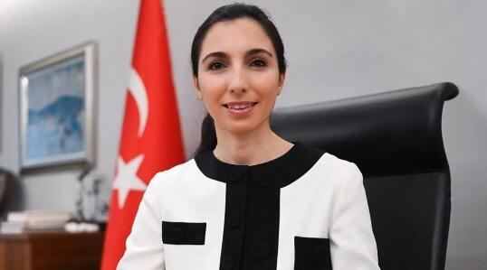 Lirə ucuzlaşır: Hafizə Qayə hərəkətə keçdi 