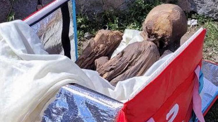Peruda kuryerin qutusundan mumiya tapıldı 