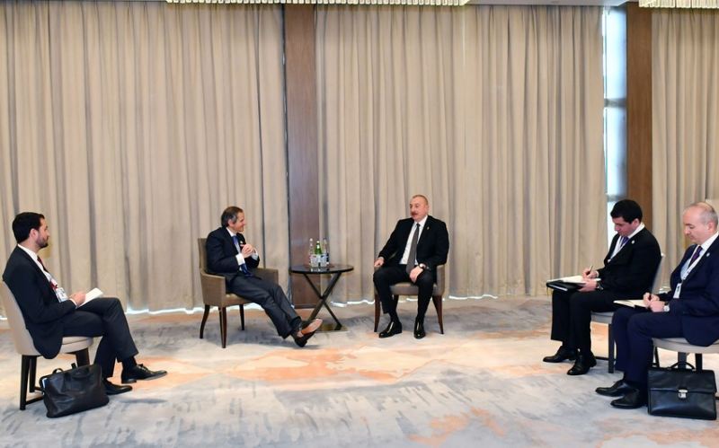 Prezident İlham Əliyev AEBA-nın Baş direktorunu qəbul edib 