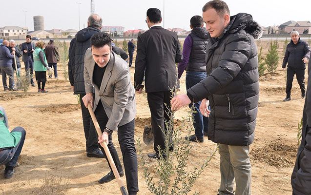 Heydər Əliyevin 100 illiyinə həsr olunmuş ağacəkmə aksiyası davam edir - Fotolar 
