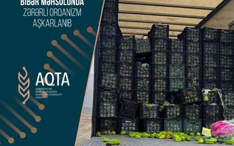 İrandan Azərbaycana gətirilən 13 ton bibərdə zərərli orqanizm aşkarlandı 