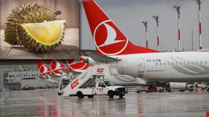Təyyarə meyvəyə görə məcburi eniş etdi 