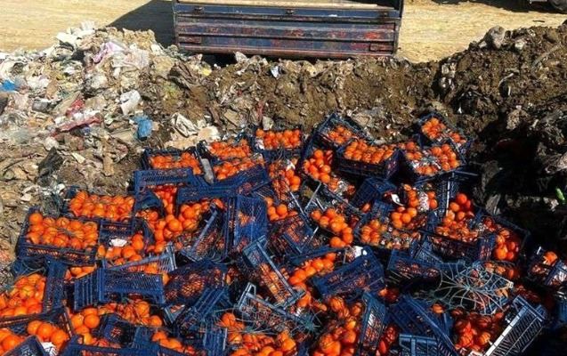İrandan gətirilən portağal və bibərdə viruslar aşkarlandı - Foto