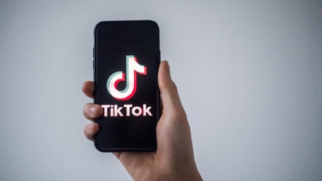Yeni Zelandiya təhlükəsizlik səbəbi ilə TikTok-dan istifadə qadağan ediləcək 