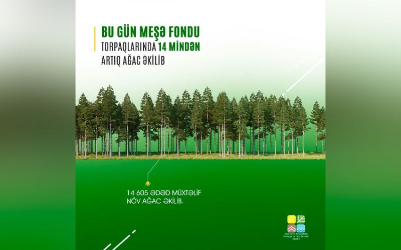 Bu gün meşə fondu torpaqlarında 14 mindən artıq ağac əkilib 