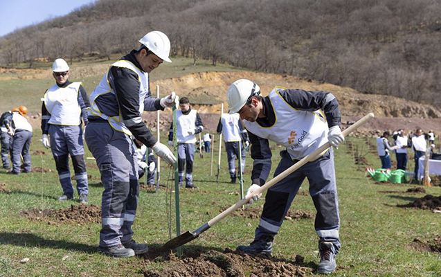 “Ağyoxuş-1” qızıl yatağı yaxınlığında ağacəkmə aksiyası keçirildi 