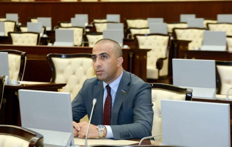 “Sülh müqaviləsinin ləngiməsi Azərbaycanın planlarını təxirə salmayıb” 