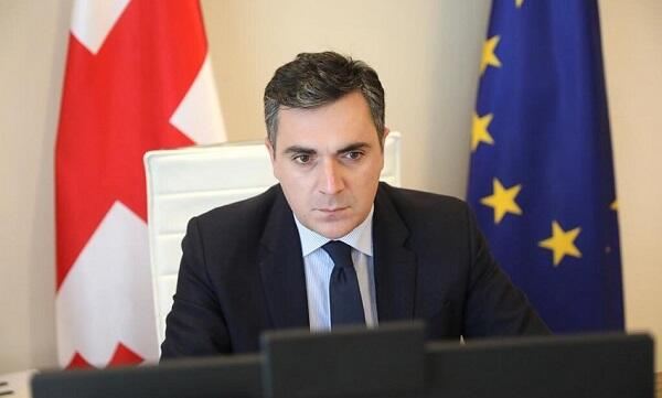 Putinin bu qərarını alqışlayırıq - Darçiaşvili 