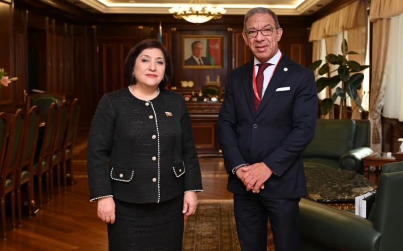 Sahibə Qafarova Serbiya Milli Assambleyasının sədri ilə görüşüb 