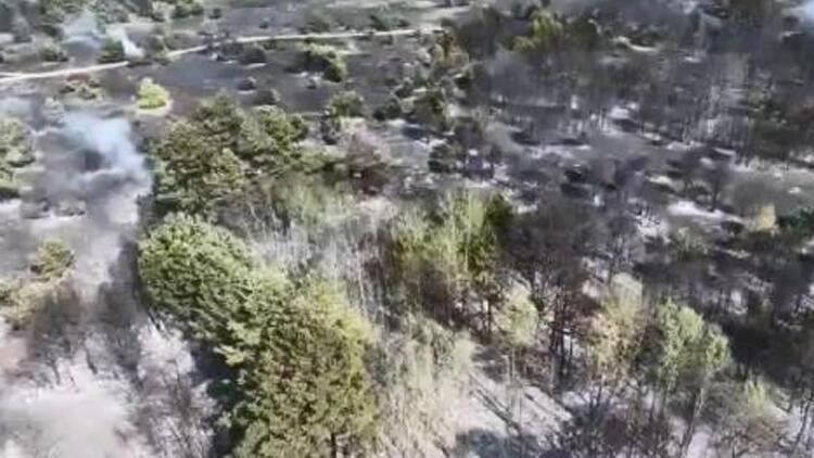 Ukraynada meşə yanğınları başlayıb 