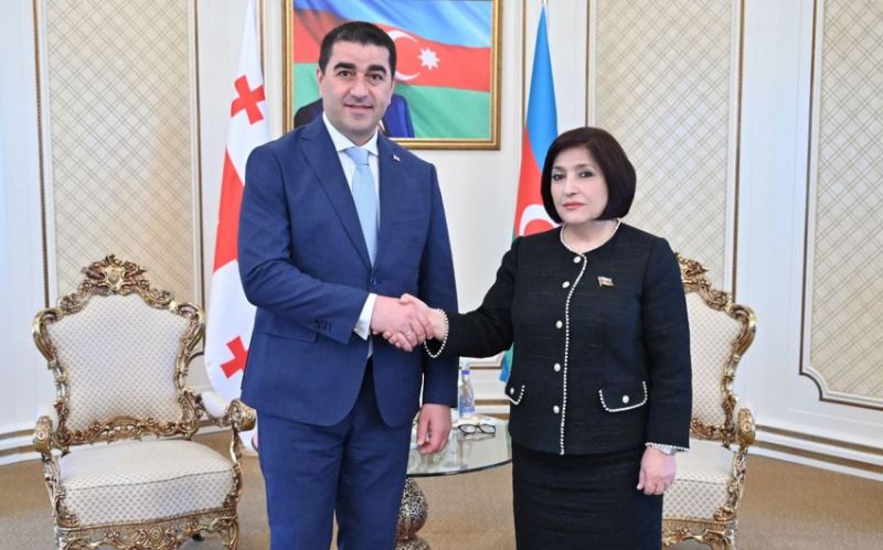 Azərbaycan və Gürcüstan parlamentlərinin sədrləri görüşüb 