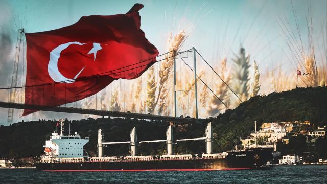 İngiltərə \"Taxıl sazişi\" ilə bağlı Türkiyəyə təşəkkür edib 