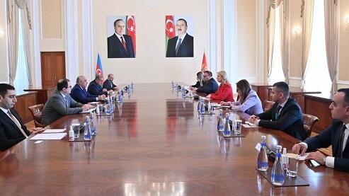 Baş nazir Monteneqro parlamentinin sədri ilə görüşdü - Foto 