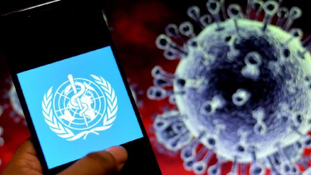 ÜST: Qlobal iqtisadiyyatlar yeni epidemiyalara əvvəlkindən daha yaxşı hazır deyil 