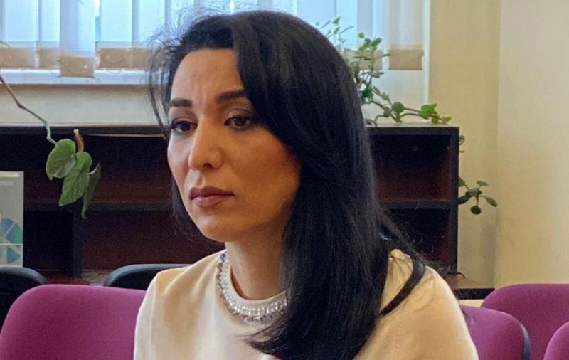 Ombudsman ATƏT PA-nın prezidenti ilə görüşdü 
