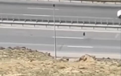 Bakıda yola təkər atan şəxslər saxlanıldı - Video 