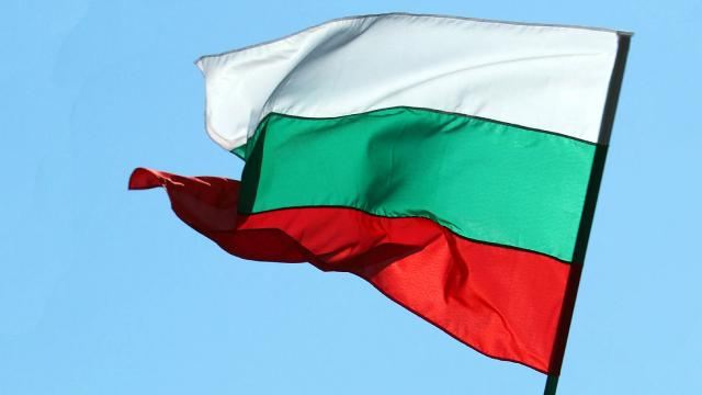 Bolqarıstan Ukraynadan günəbaxan idxalını dayandırır 