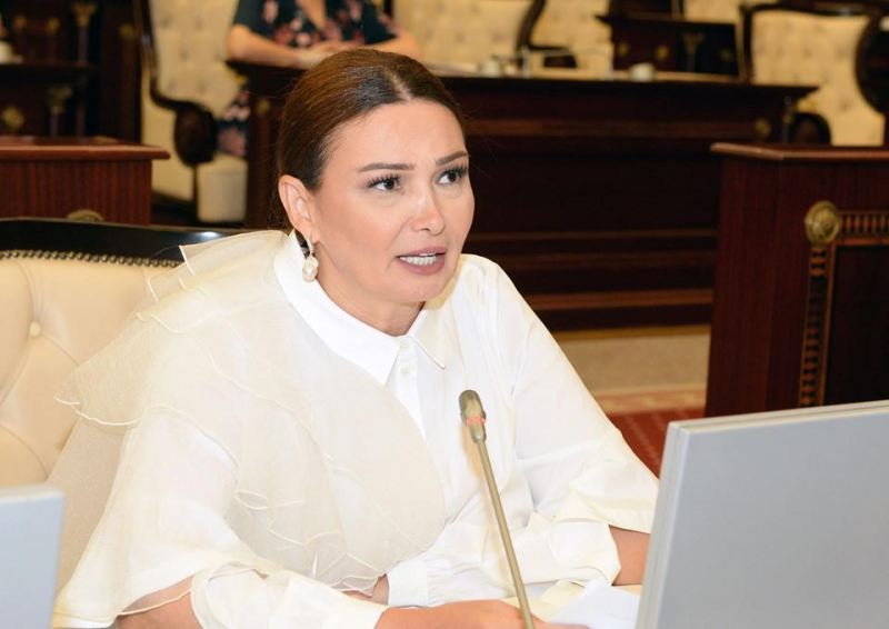 Paşayeva AQDİM rəhbərliyi ilə görüşdü 