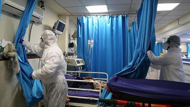 Yunanıstan leptospiroz epidemiyası təhlükəsi ilə üz-üzədir 