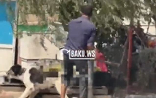 Kücədə iti baltaladı: Foto