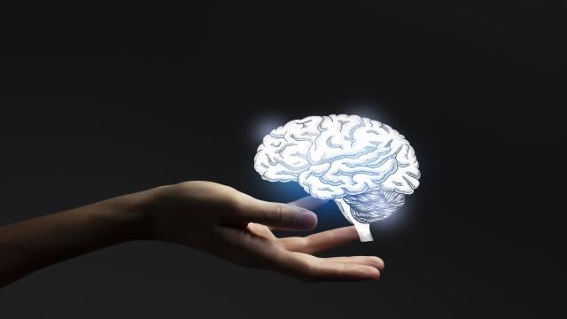 Oxford Lüğəti ilin sözünü açıqladı: \"Beyin çürüməsi\"