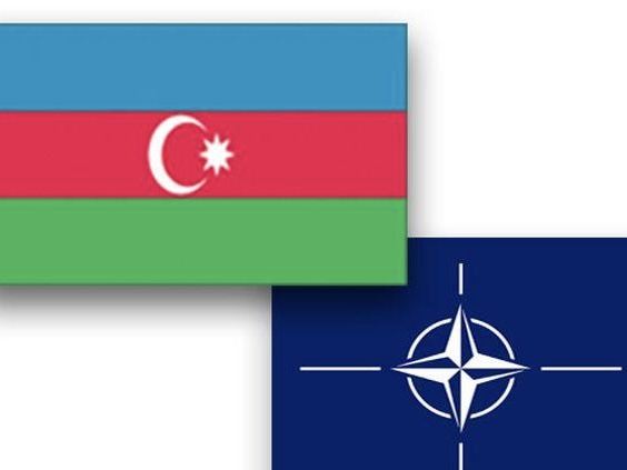 Azərbaycan və NATO arasında mühüm müzakirə... 