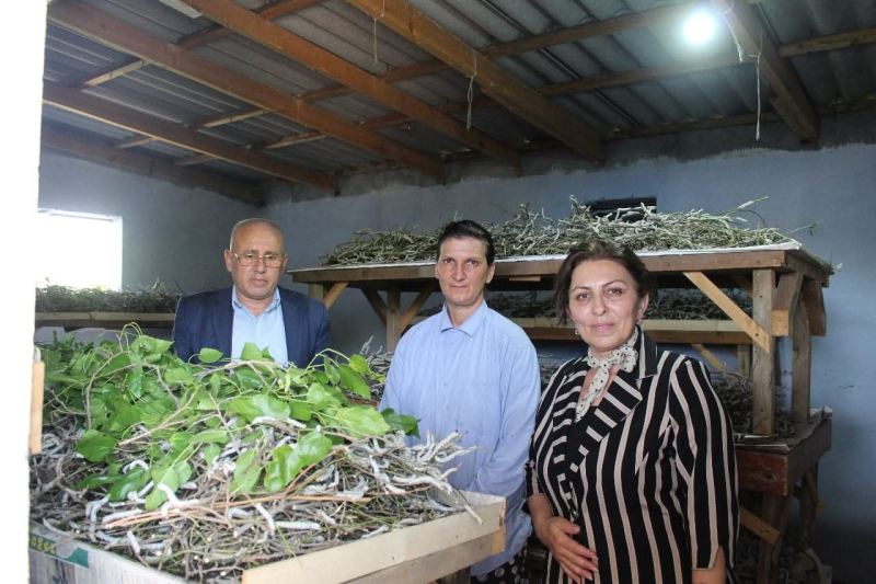 Biləsuvarda kəndlilərin iqtisadi güclənməsi üçün xüsusi layihə həyata keçirilib 