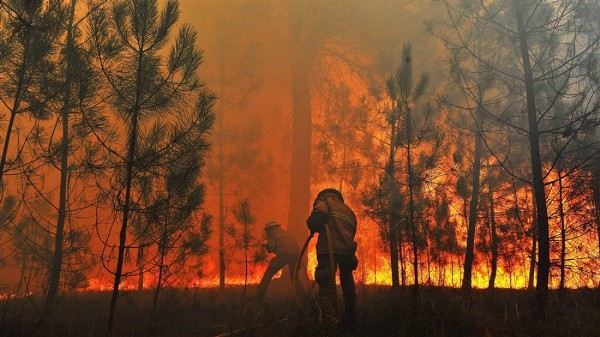 Çilidə meşə yanğınları: ölənlərin sayı artdı 