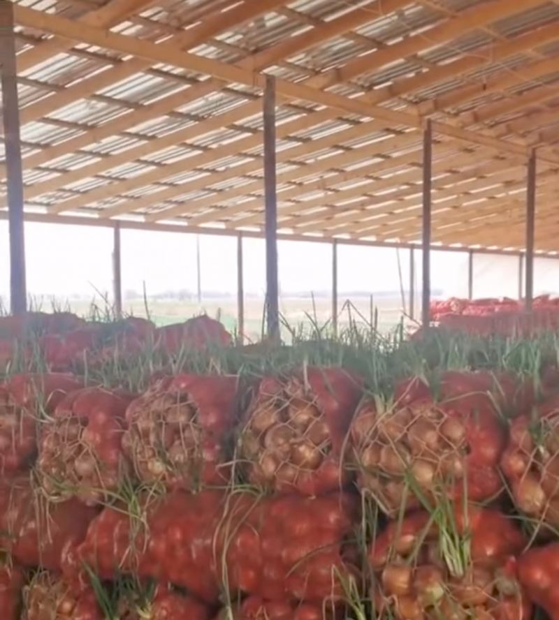 İqtisadçı ekspert: \"Hökumət israrlı şəkildə təşviq siyasətini tətbiq etməlidir\"