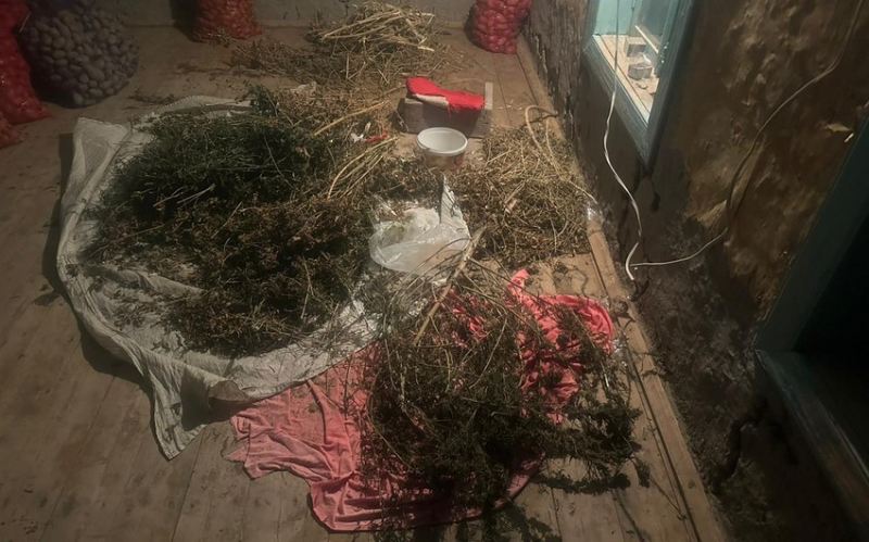 Sabirabad sakininin evində 4 kiloqramdan artıq narkotik vasitə aşkarlanıb 