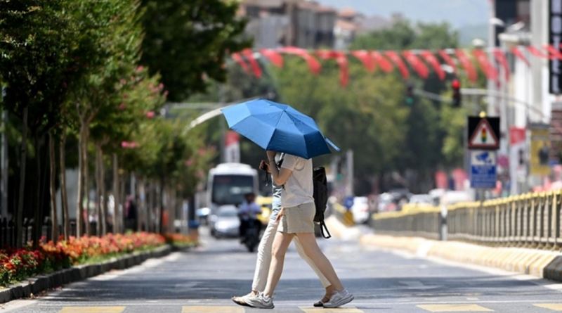 Mütəxəssislərin \'2024-cü ilin yay\' proqnozu: Keçən ilin axtaracağıq