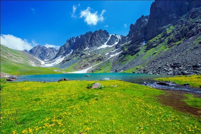 Baş nazirdən Zəngəzur Milli Parkı ilə bağlı qərar 