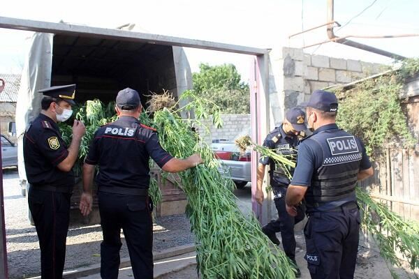 Oğuzda əməliyyat: saxlanılanlar var 