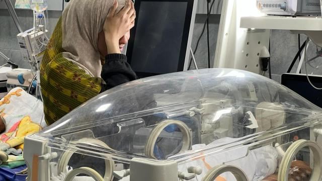 Qəzzə qadınları: Uşaqlarını itirən qadının günüdürmü? 