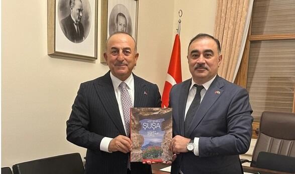 Səfirimiz Mövlud Çavuşoğlu ilə görüşdü 
