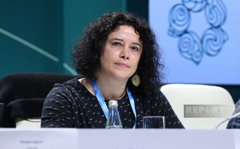 Dövlətlər iqlim dəyişikliyinin mənfi təsirinin qarşısının alınmasına görə məsuliyyət götürməlidir 