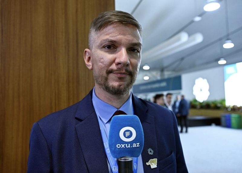 Braziliya nümayəndəsi: \"COP30 zamanı Azərbaycanın təcrübəsindən istifadə etməyi planlaşdırırıq\" 