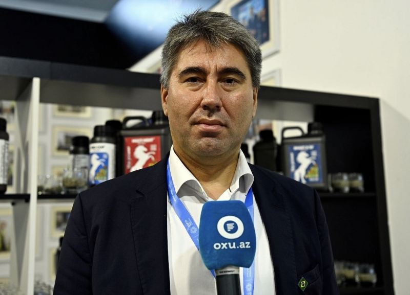 COP29: İqlim maliyyəsi diqqət mərkəzindədir 