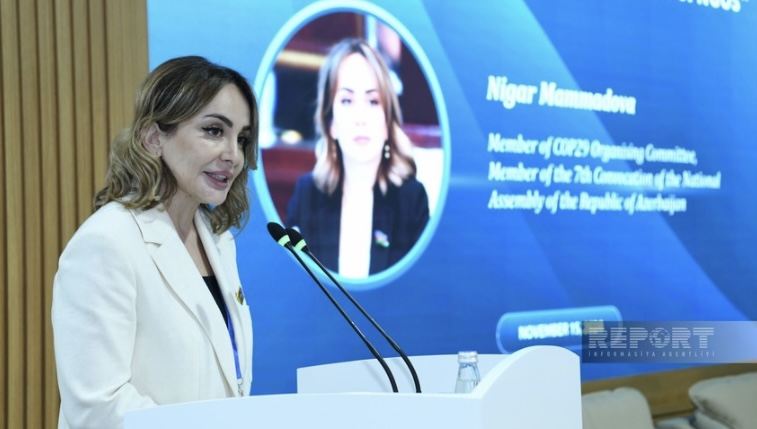 Deputat: Vətəndaş cəmiyyəti institutlarının iqlim idarəçiliyində iştirakı effektiv nəticələr verir 