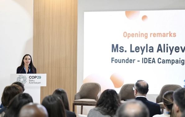 COP29 çərçivəsində IDEA və \"Clean Air Fund\" tərəfindən panel müzakirələri təşkil olunub 