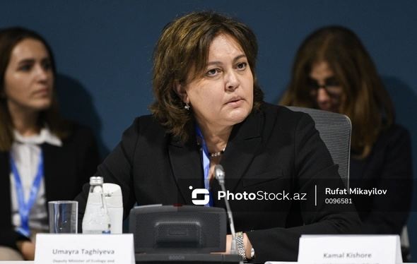 Umayra Tağıyeva: \"Adaptasiya üzrə Qlobal Məqsəd müəyyən edilib\" 